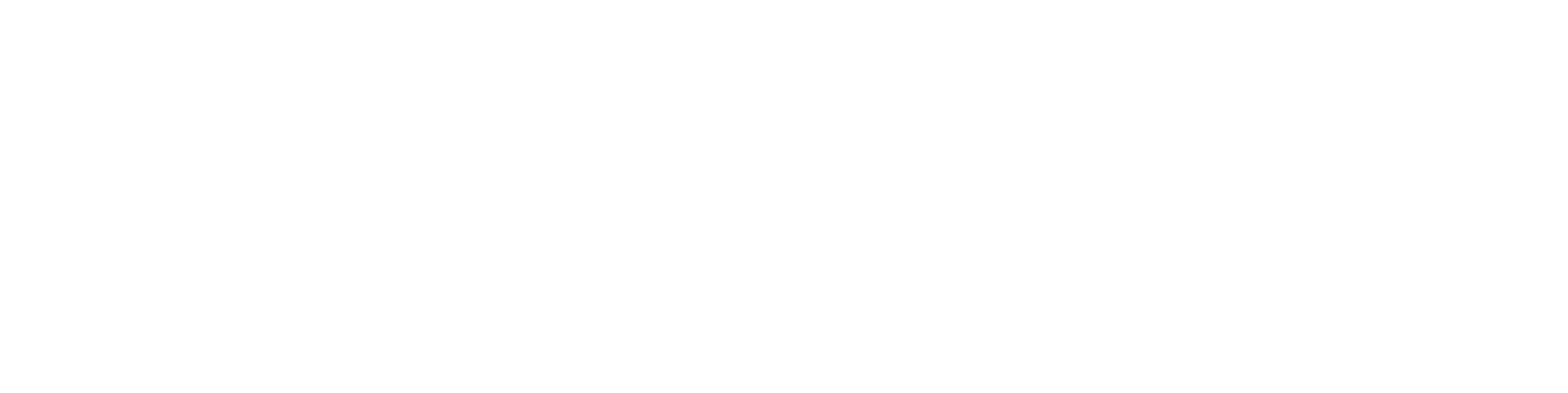 ERRONE TRAVELS